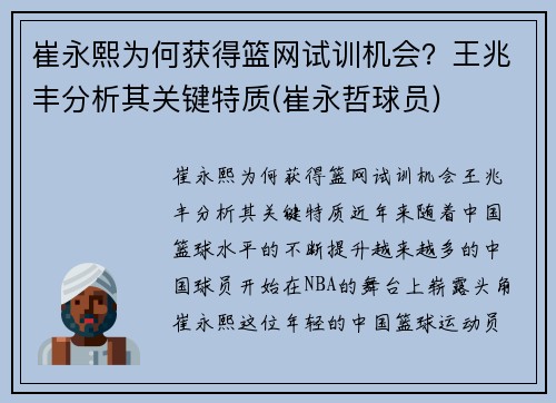 崔永熙为何获得篮网试训机会？王兆丰分析其关键特质(崔永哲球员)